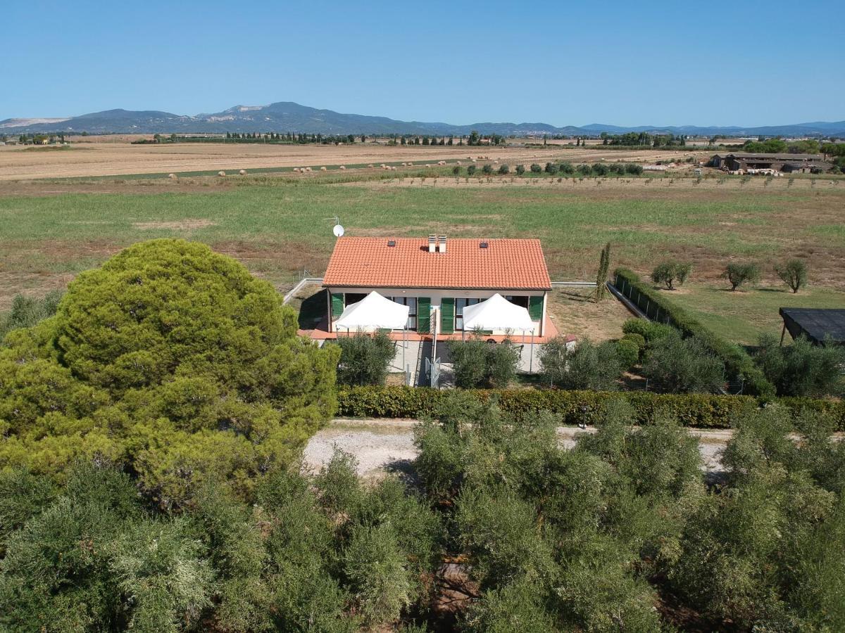 Agriturismo Olivomare Piombino Ngoại thất bức ảnh