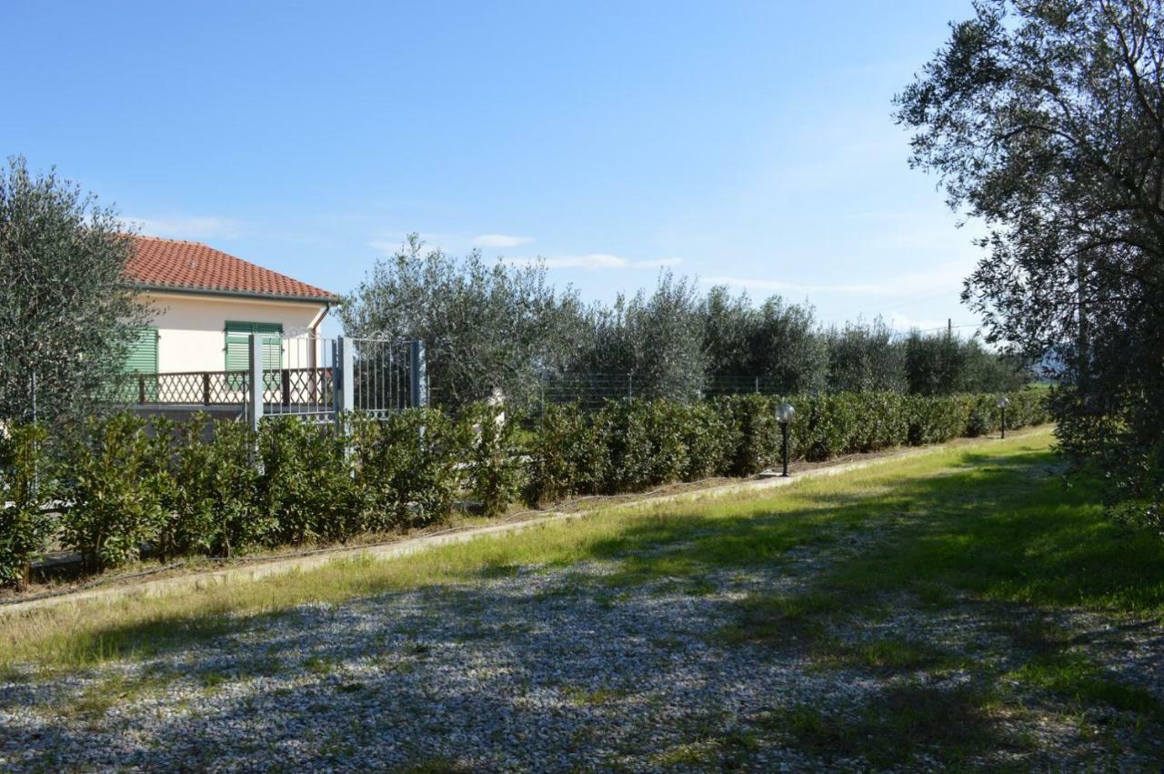 Agriturismo Olivomare Piombino Ngoại thất bức ảnh