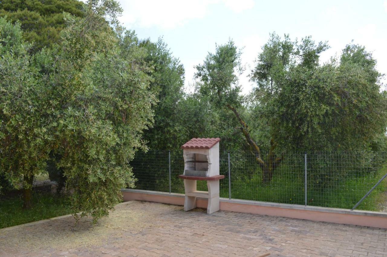 Agriturismo Olivomare Piombino Ngoại thất bức ảnh
